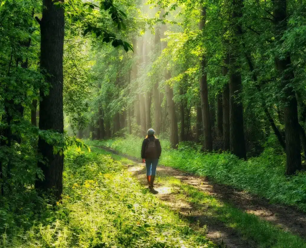 Personne marchant sur un chemin en forêt pour comprendre sa santé et retrouver un équilibre intérieur